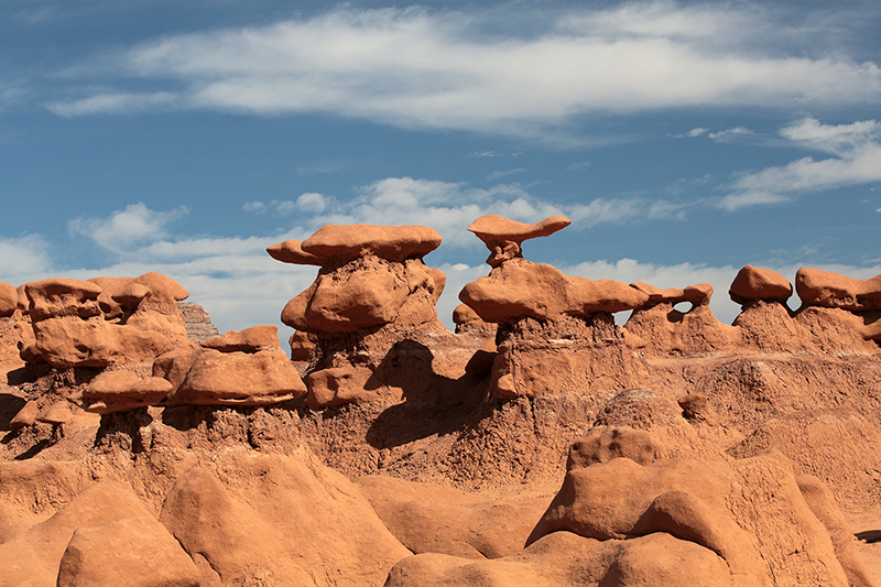 Bison : Antelope Island : Utah : Landscape Photos : Richard Moore : Photographer